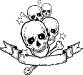 Skulls